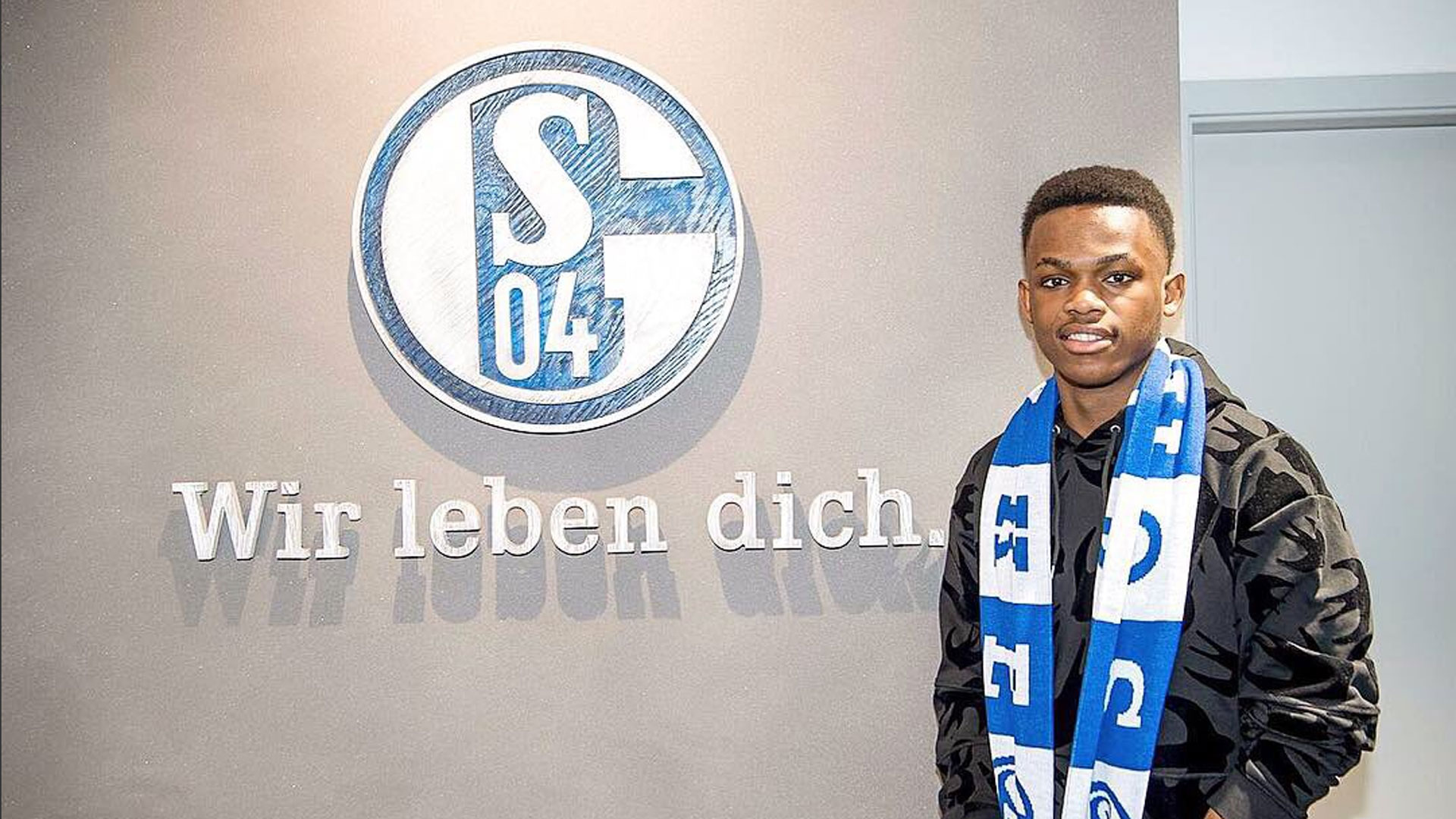 游泳运动的 游泳运动的